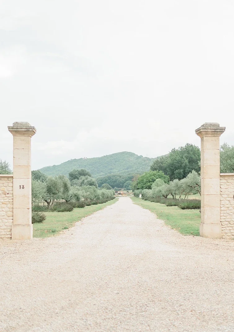 Allée de gravier bordée d'oliviers menant à un domaine provençal