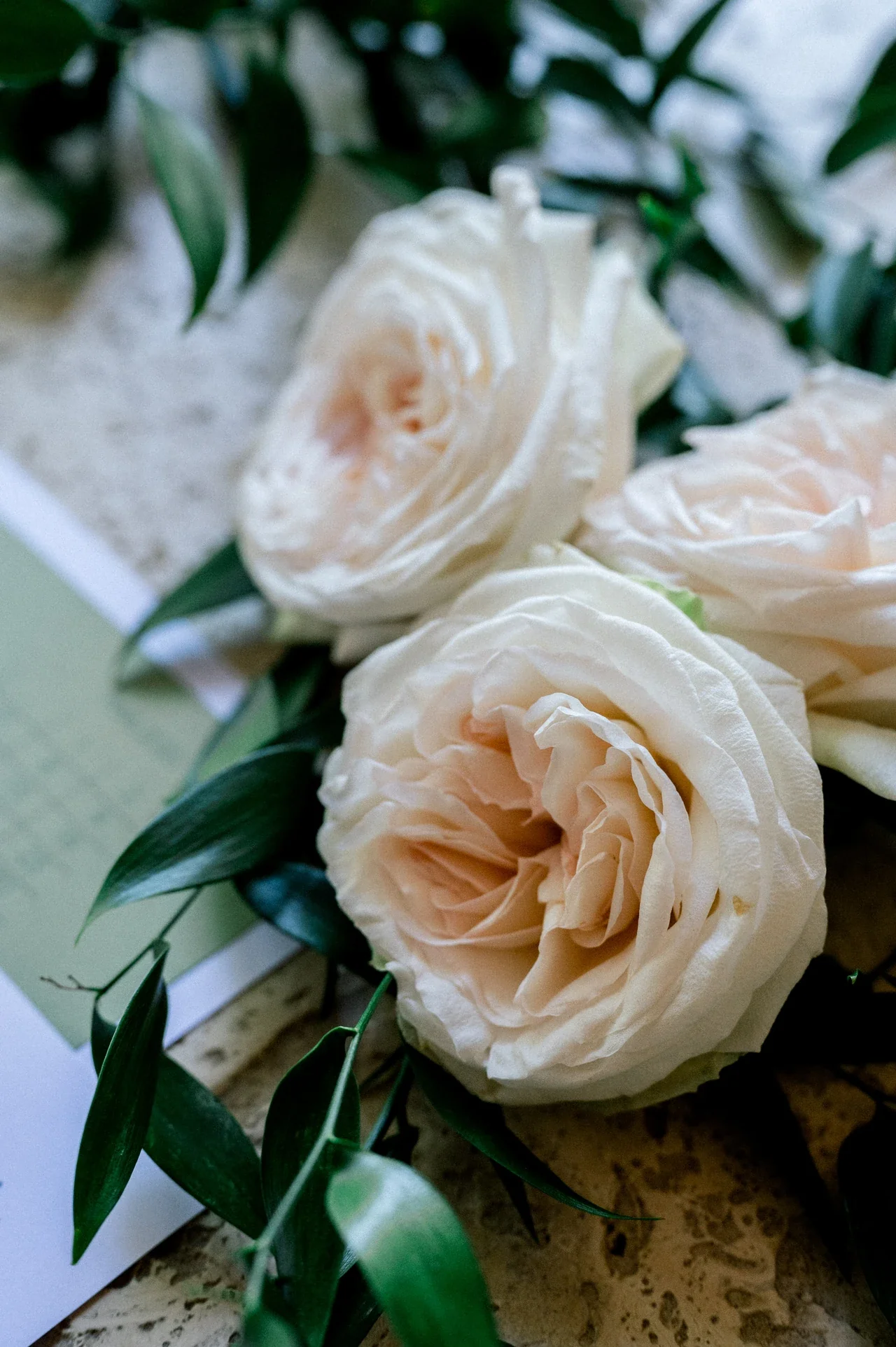 Roses pâles et feuillage du bouquet de la mariée