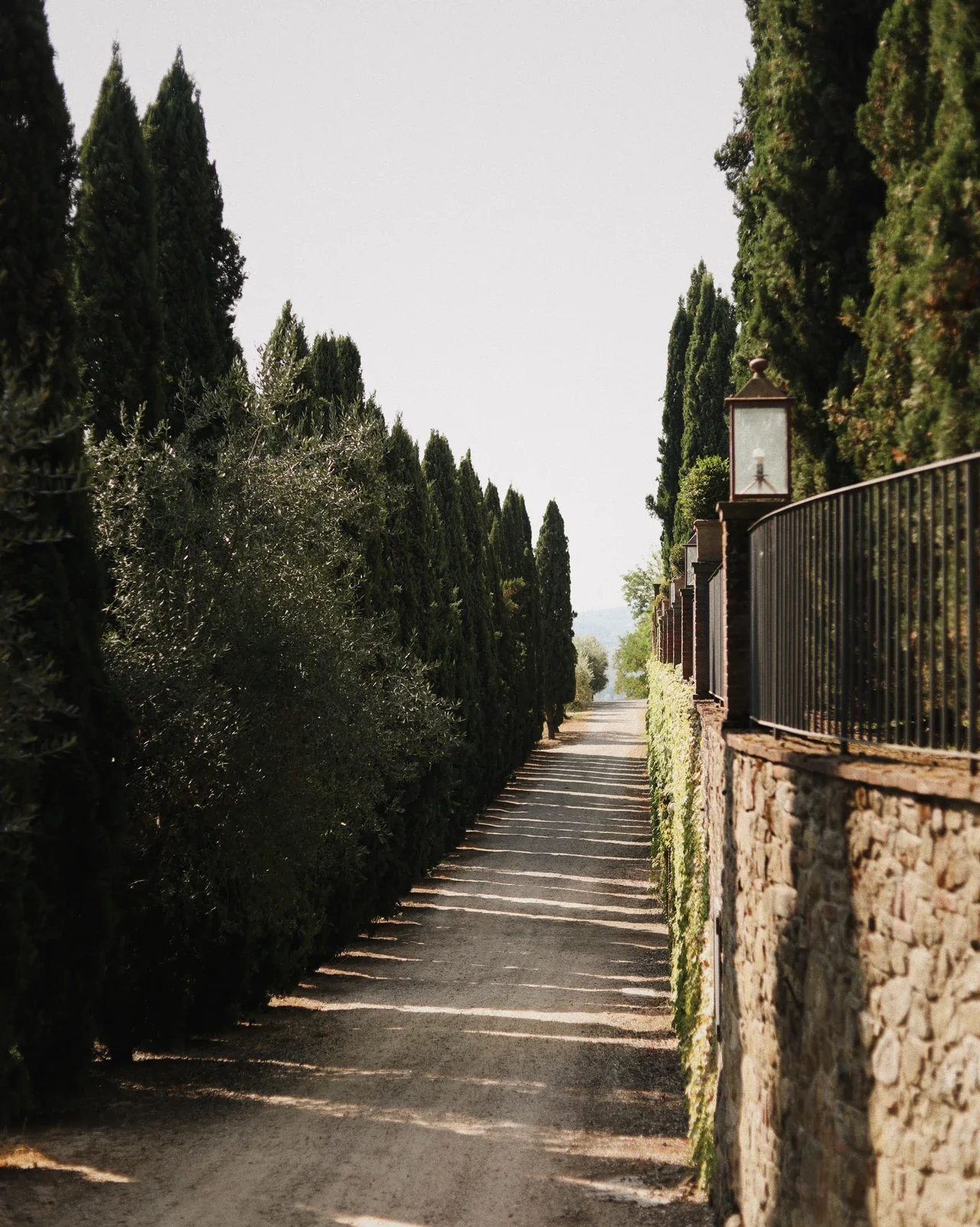 Allée bordée de cyprès et grille en fer forgé en Toscane